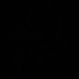 Meet your Posher, Alison